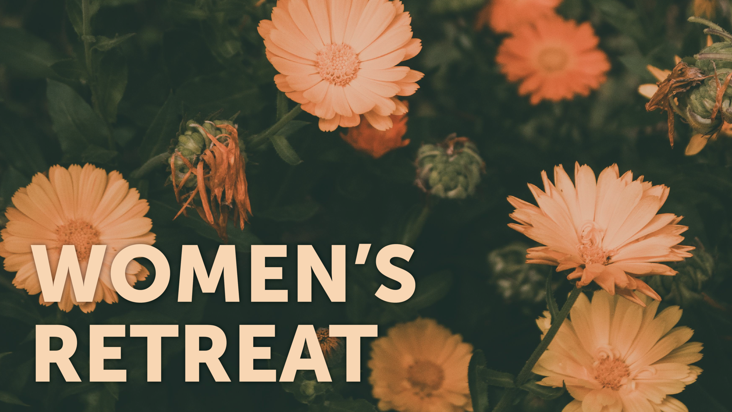 Orange flowering plant with the words "Women's Retreat" written over it